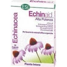 Esi Echinaid 30 caps