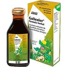 Salus Floradix Intestcare® fórmula herbal 250 ml