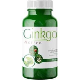 Saludalkalina Ginkgo Active 60Caps