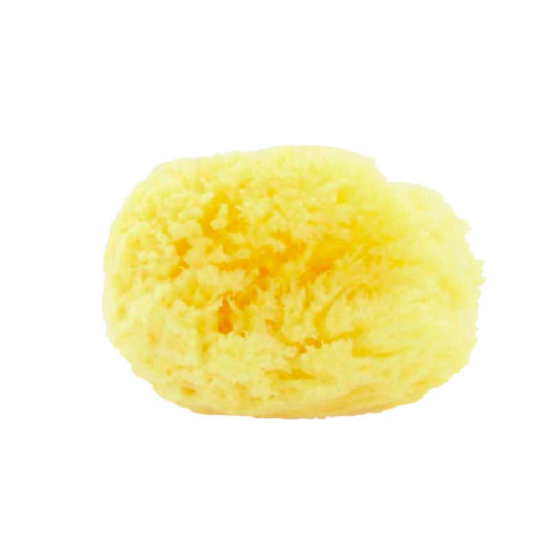 Biemmefarma Esponja Mar Natural M 1 ud