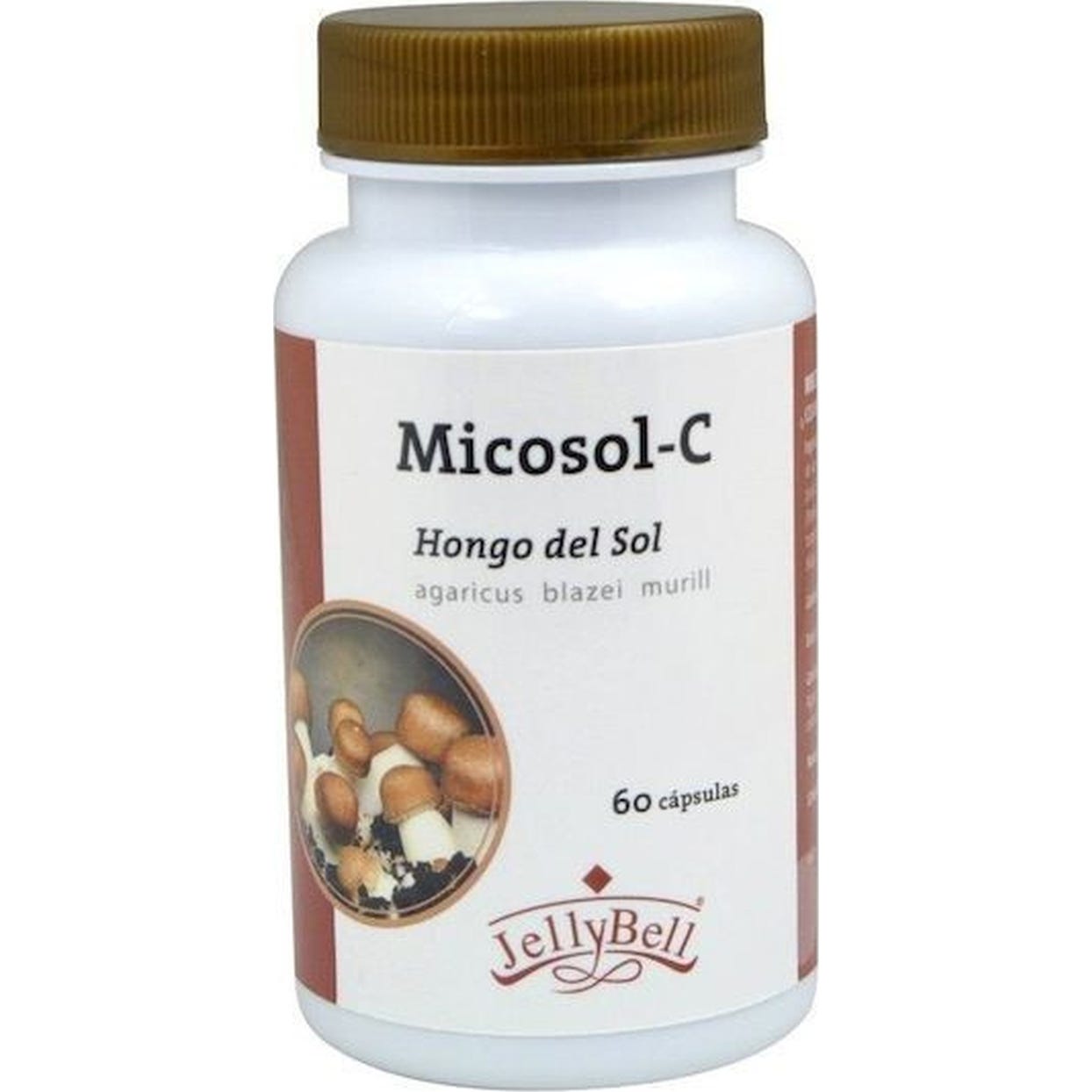 Auroshikha Conos Jardín De La Naturaleza Fragancia Lavanda 20uds