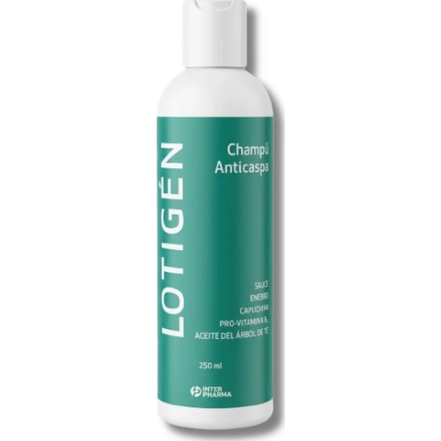 Lotigen champú anticaspa uso frecuente 250 ml