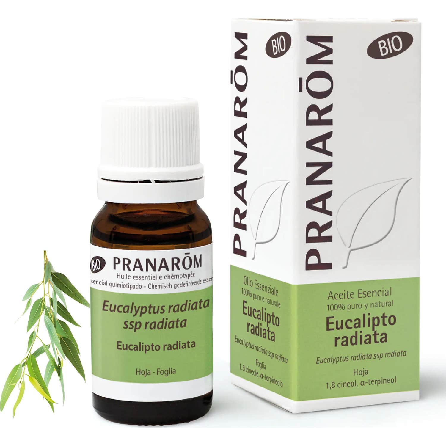 Pranarôm Aceite Esencial de Eucalipto Radiata BIO 10ml