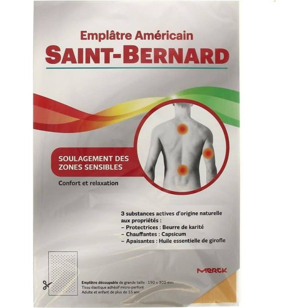 Saint-Bernard Yeso Americano 19cmx30cm | Natural Doctor
