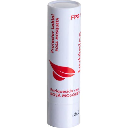 Ebers Stick Labial Rosa Mosqueta Spf15 4 g
