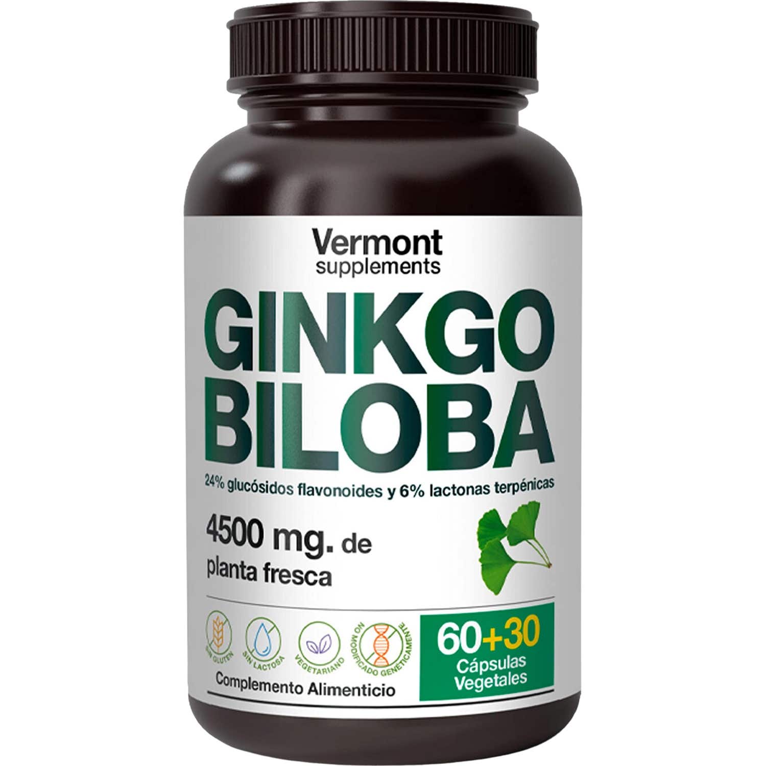 Vermont Supplements Ginkgo Biloba 60+30caps