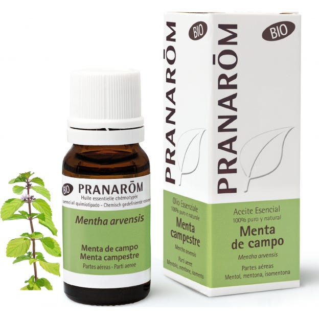 Pranarôm Aceite Esencial de Menta de Campo BIO 10ml