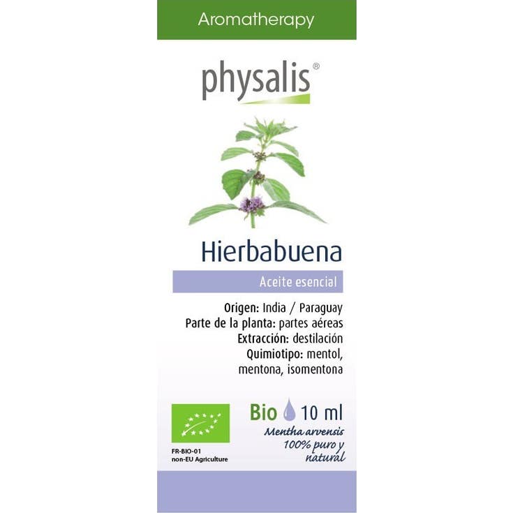 Physalis 5 X Esencia De Hierbabuena Bio 10 Ml - Imagen 2