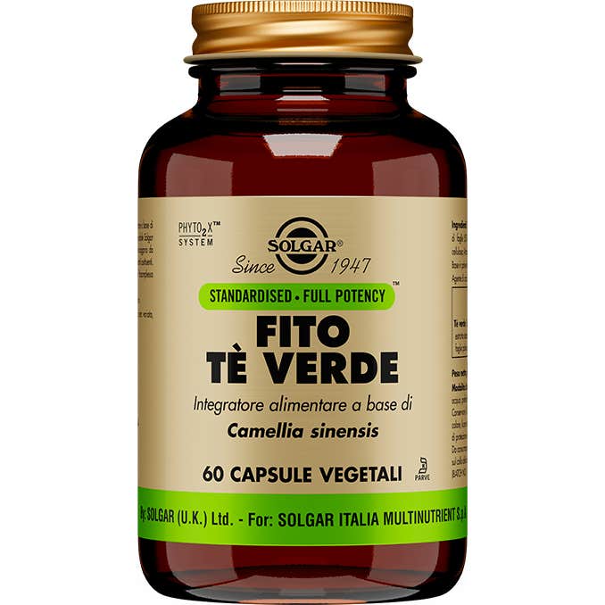 Solgar Verde Té (Green Tea) 60 Cápsulas - Imagen 2