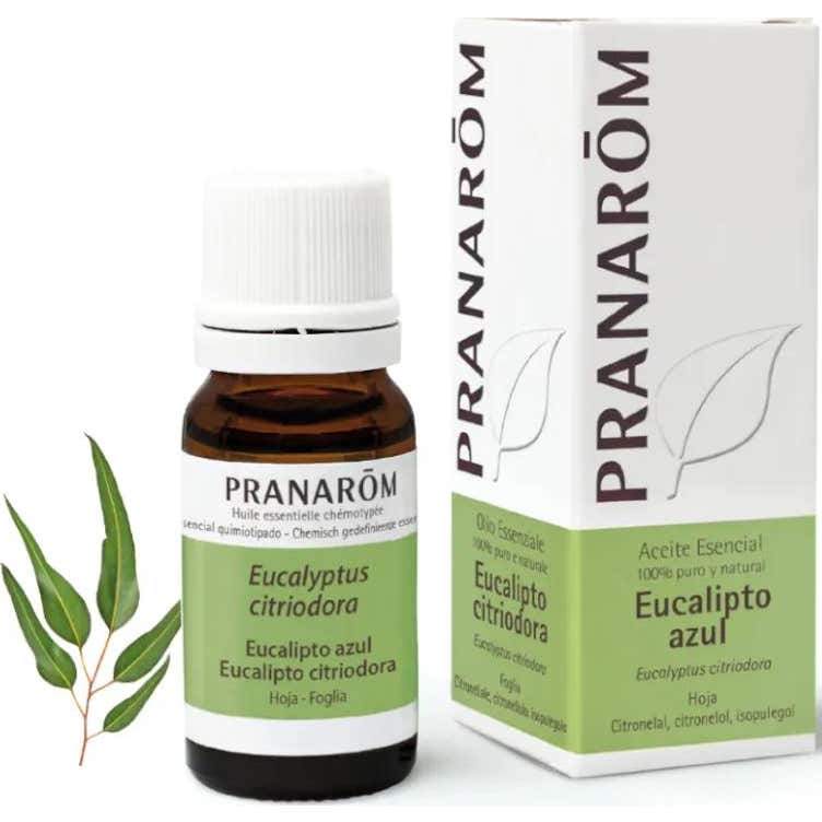 Pranarôm Aceite Esencial de Eucalipto Azul 10 ml