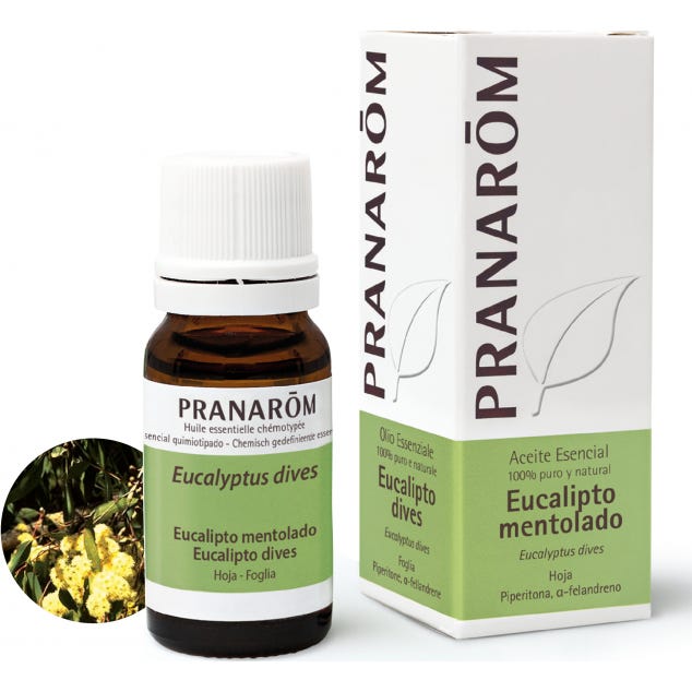 Pranarôm Aceite Esencial de Eucalipto Mentolado 5 ml