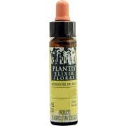 Plantis 15 Acebo 10 ml