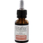 Vitaflor Extracto Orgánico de Castaño de Indias 15 ml