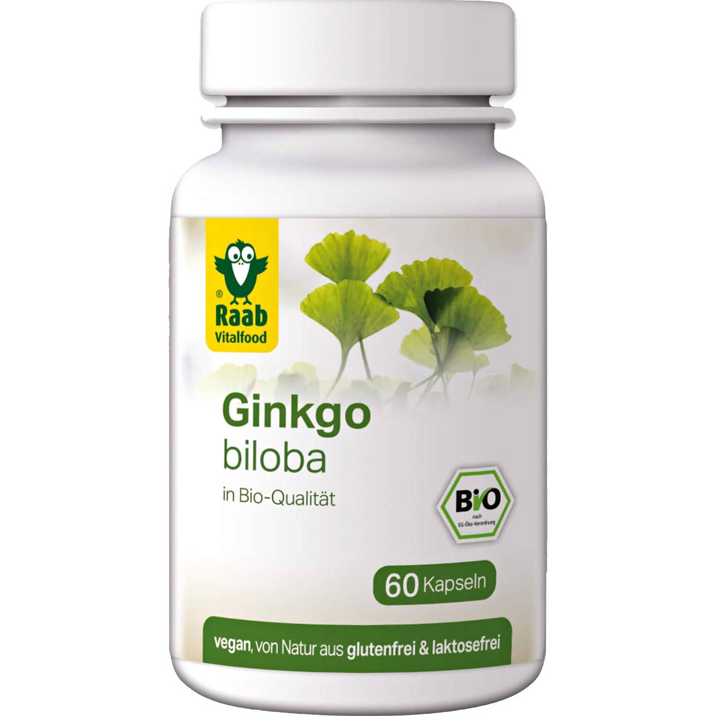 Raab Vitalfood Ginkgo Biloba Bio 60caps
