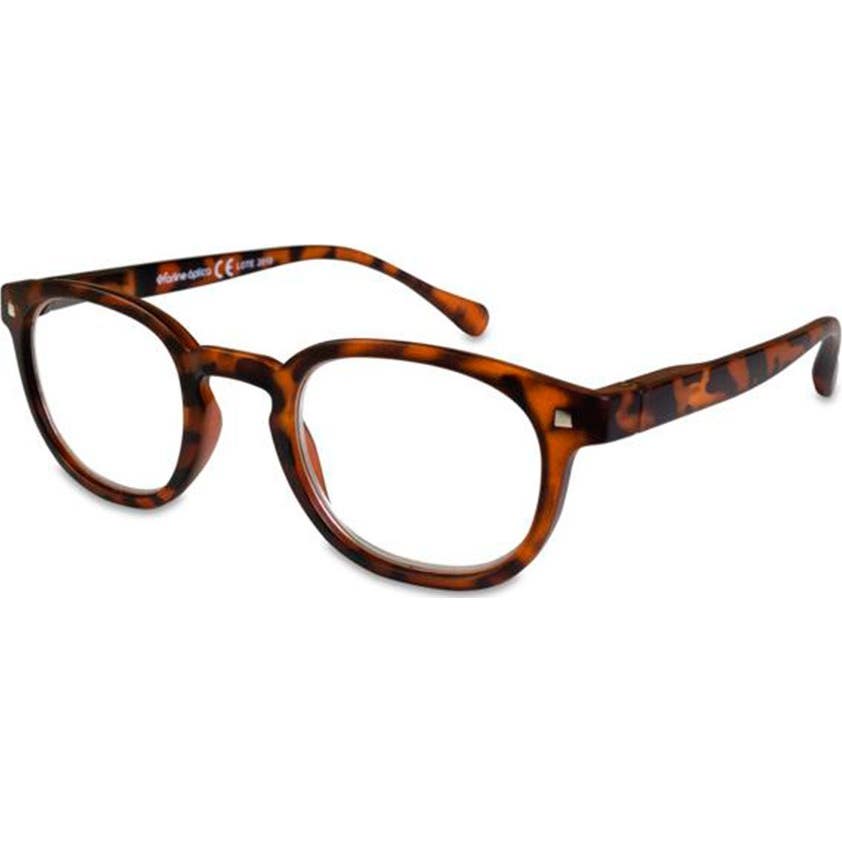 Farline Gafas Presbicia Everest +1.00 1ud