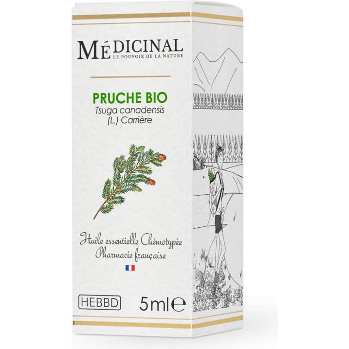 Médicinal Aceite Esencial Cicuta Bio 5ml