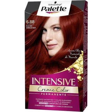 Schwarzkopf Palette Intensive Tinte N6.88 Rojo Rubí 1ud
