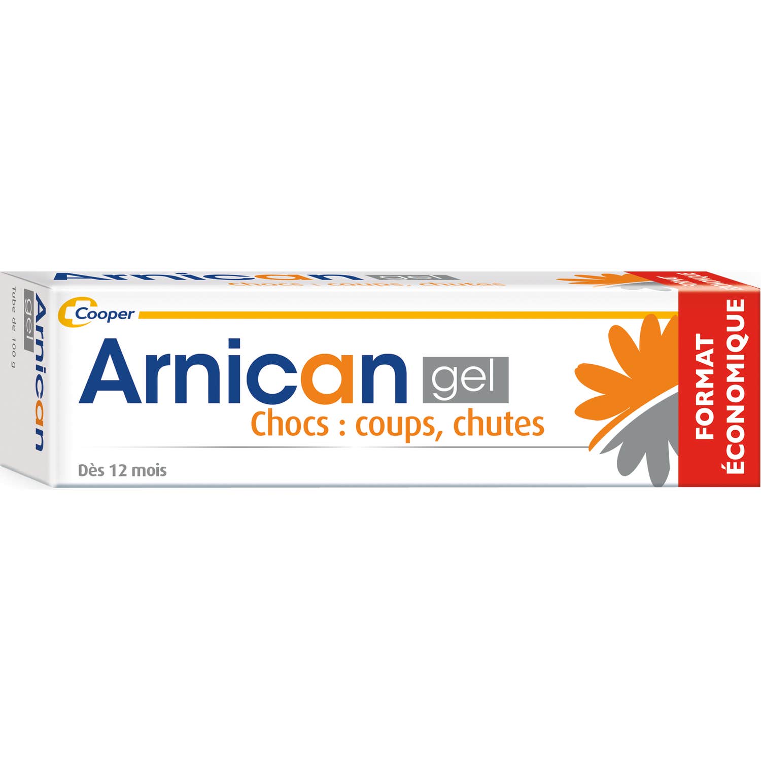 Arnican Gel 100g