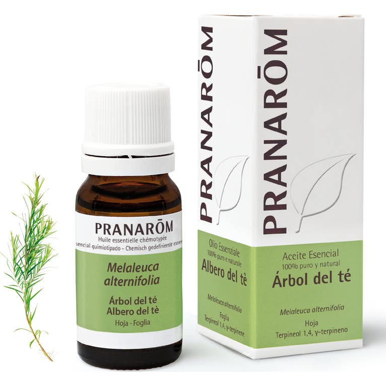 Pranarôm Aceite Esencial de Árbol de Té 10ml