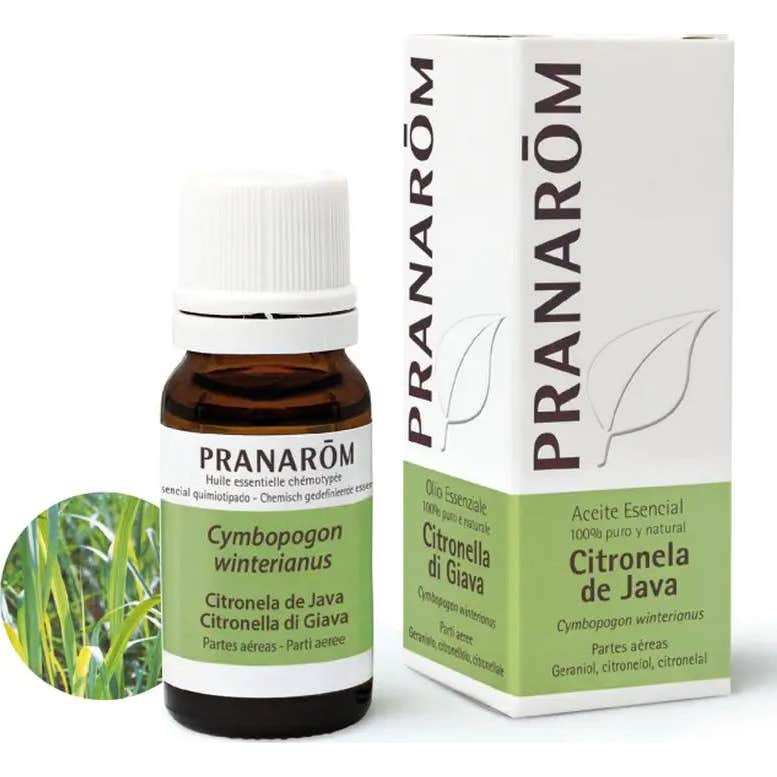Pranarôm Aceite Esencial de Citronela de Java 10ml