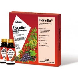Floradix-Hierro 10 Botella20 ml