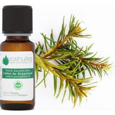 Voshuiles Aceite Esencial de Te de Labrador 5 ml