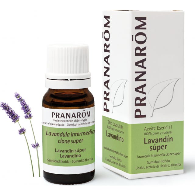 Pranarôm Aceite Esencial de Lavandín Súper 10ml