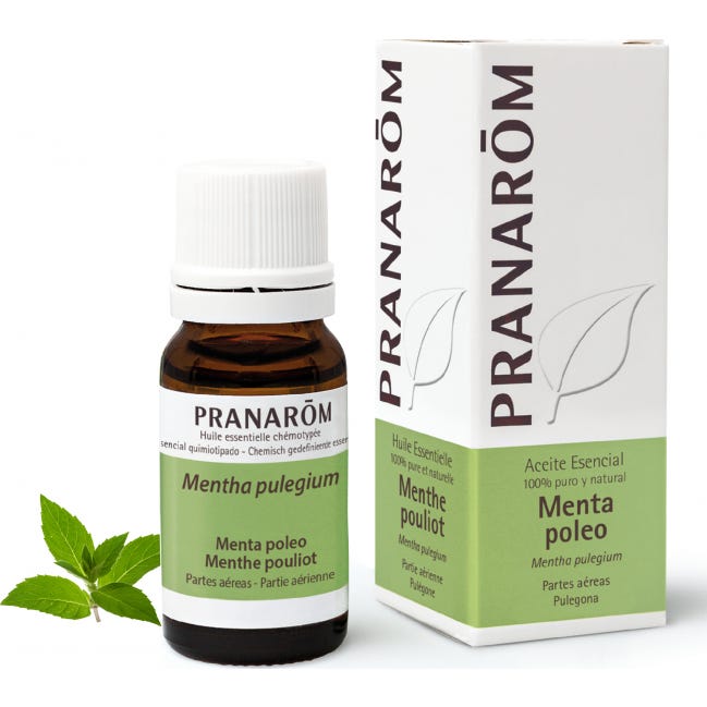 Pranarôm Aceite Esencial de Menta Poleo 10 ml