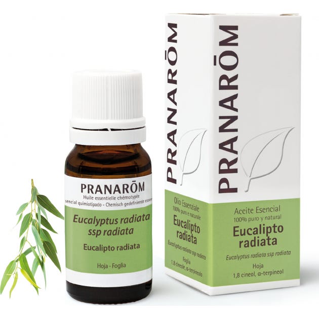 Pranarôm Aceite Esencial de Eucalipto Radiata 10ml