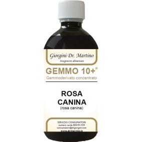 Rosa Mosqueta Liq Anal Gemmo 10+ 500ml