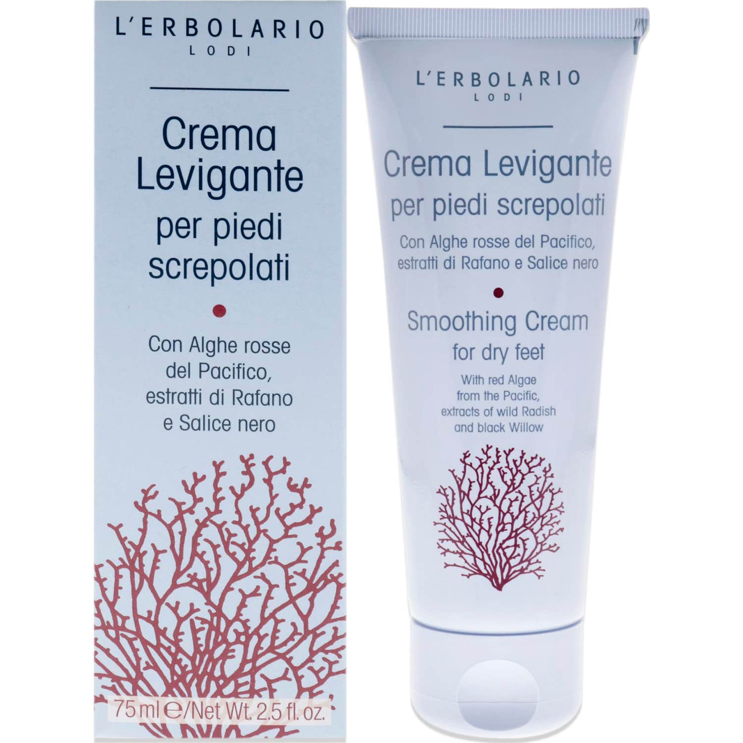 Herbario Pied/Gamb Smooth Screp