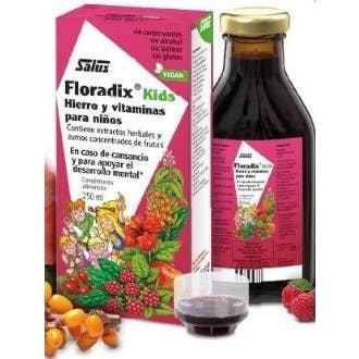 Salus Floradix Kids 250 ml