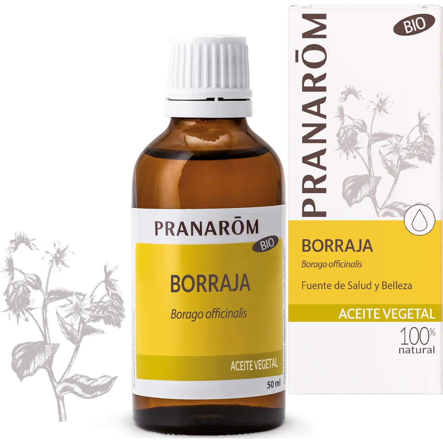 Pranarôm Aceite Vegetal de Borraja BIO 50ml