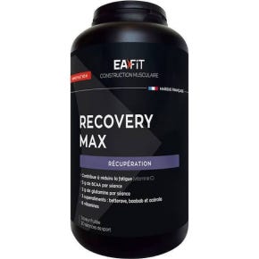Eafit Ea Fit Recovery Max Fruit 280 G