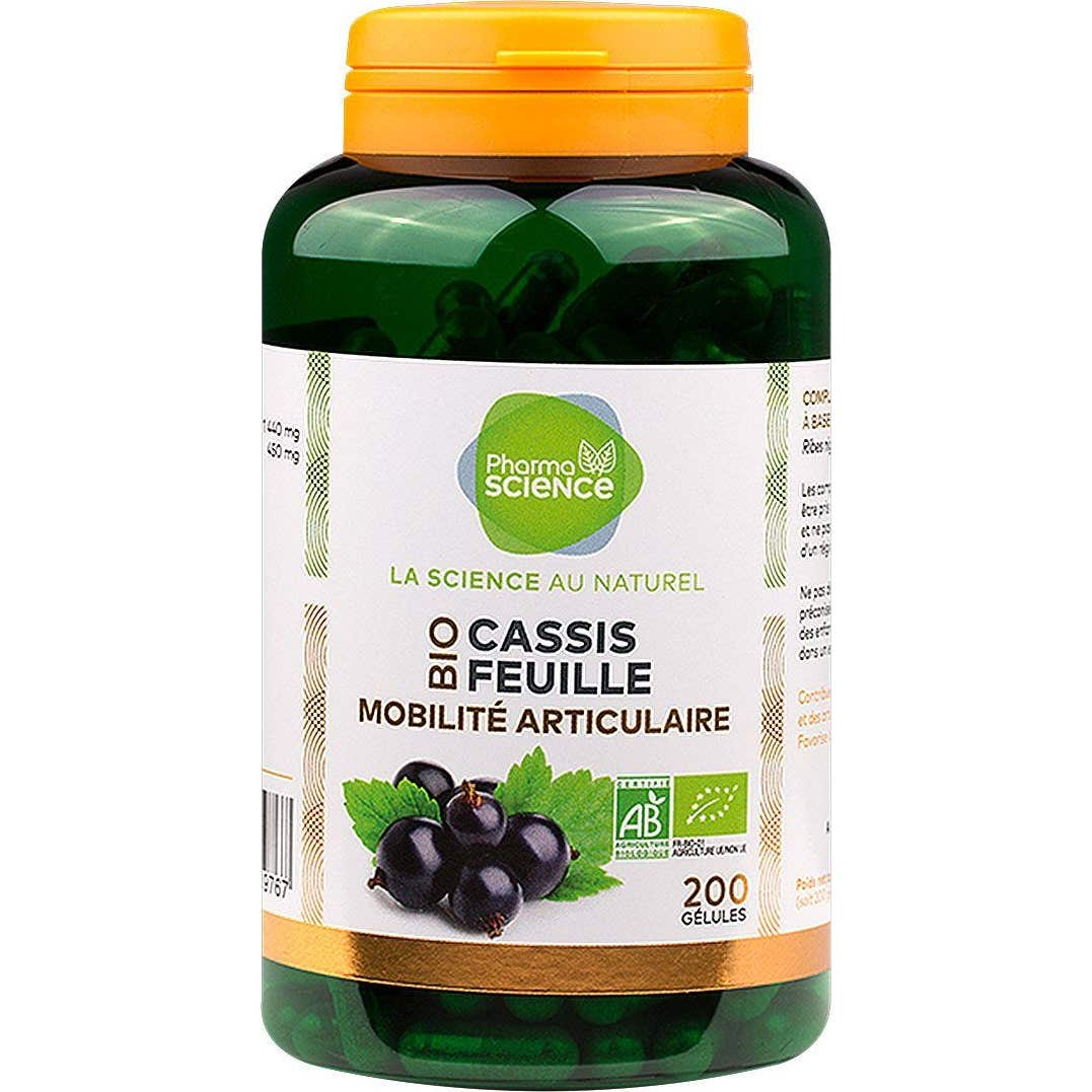 Pharmascience Hoja de grosella negra 200caps