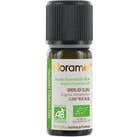 Florame Aceite Esencial Clavo Bio 10 ml