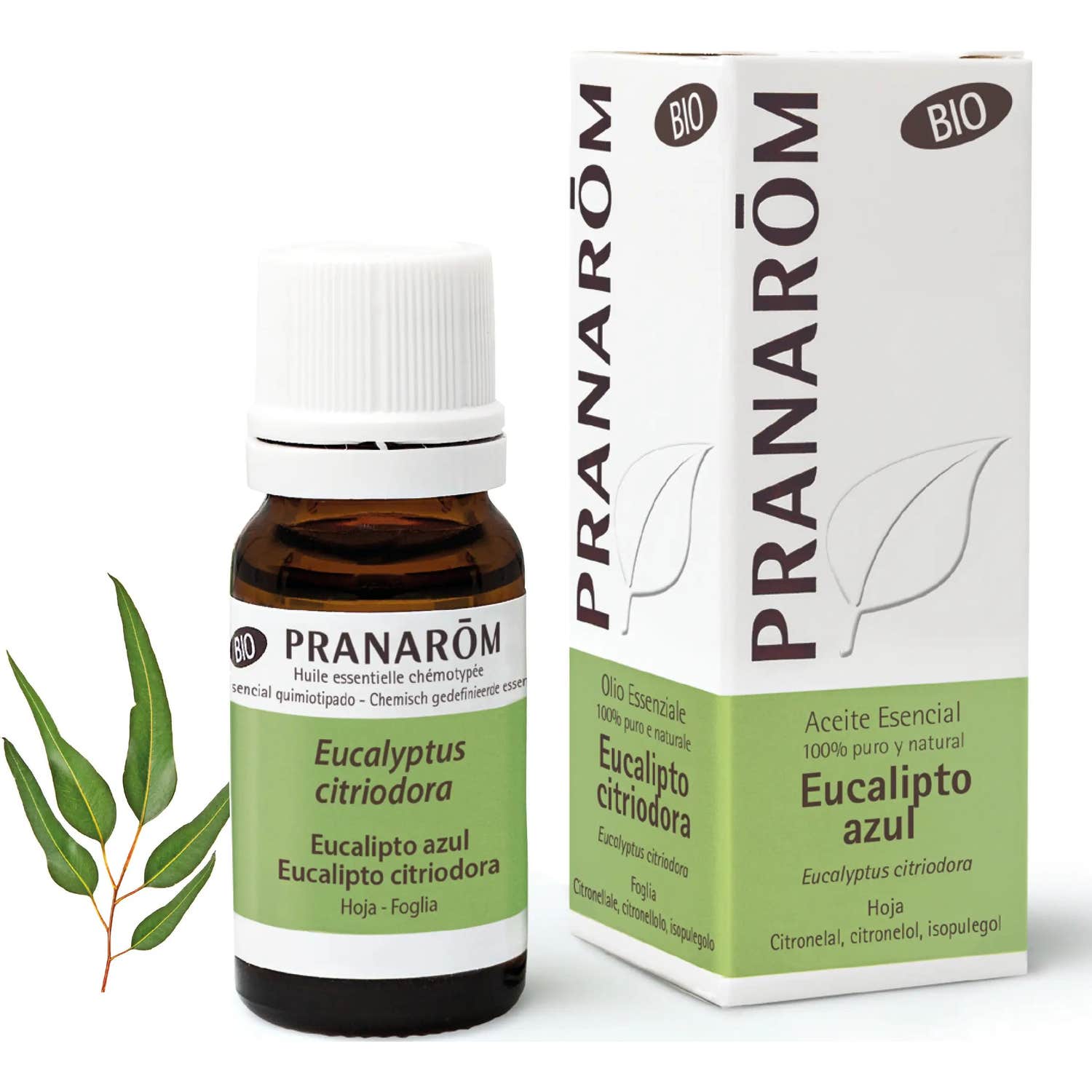 Pranarôm Aceite Esencial de Eucalipto Azul BIO 10ml