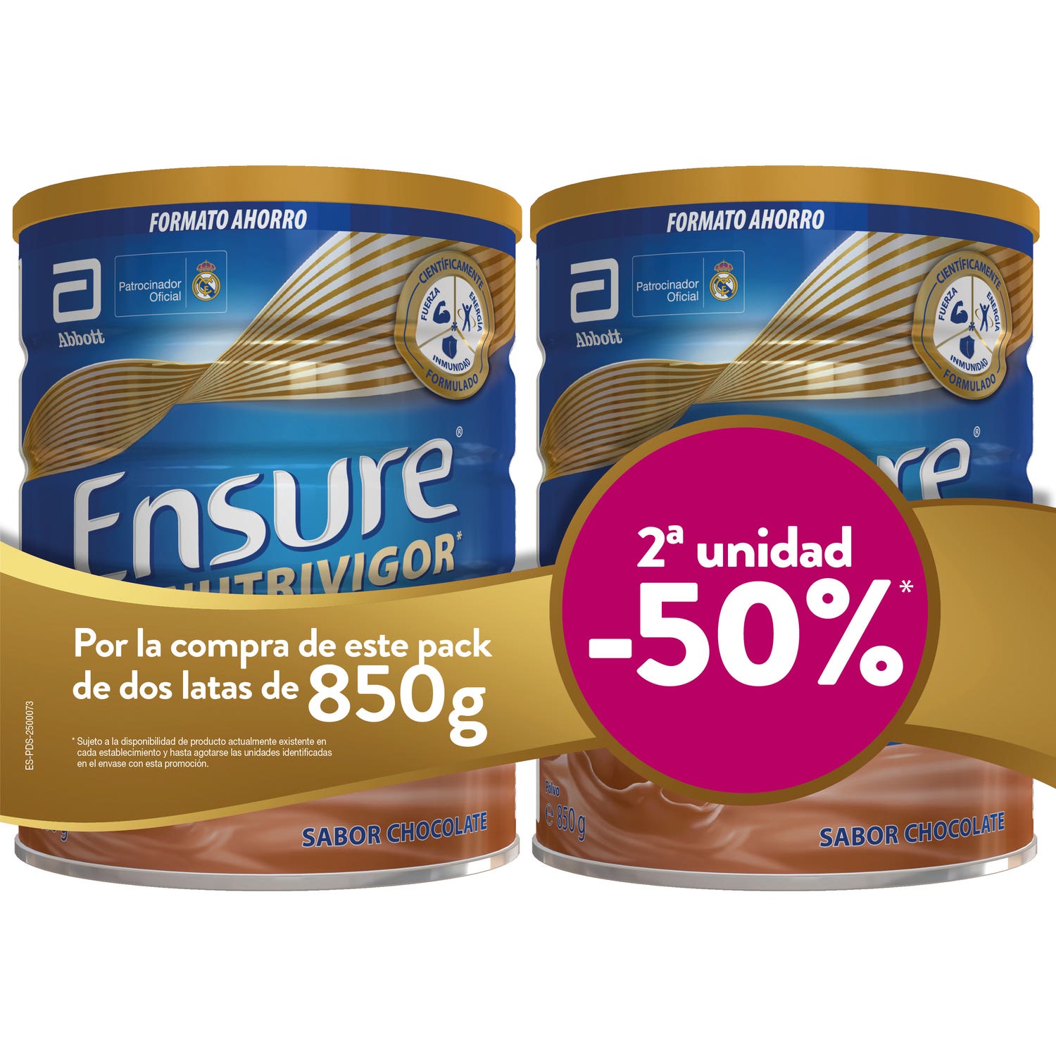 Ensure Chocolate 2X850 G