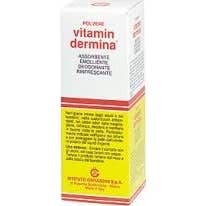 Polvo de Lanolina Vitamindermin 100 g