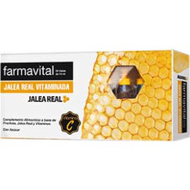 Farmavital jalea real vitaminada 20 viales