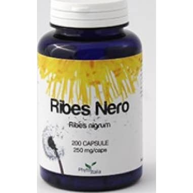 Casis de grosellas Negras 60 caps