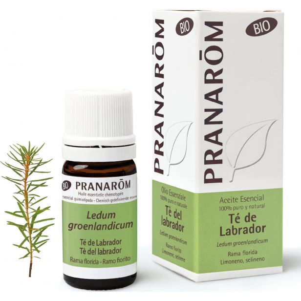 Pranarôm Aceite Esencial De Té De Labrador Bio 5 Ml