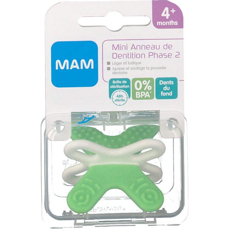 Mam Mini Ann Mini Dent Phase 2