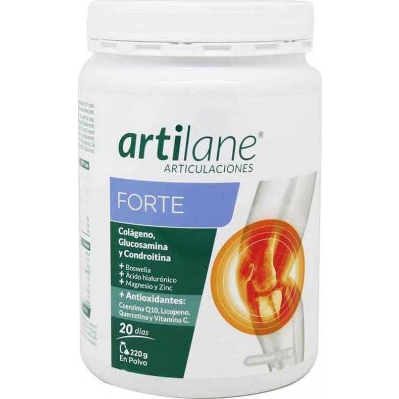 Artilane Forte Polvo 220g