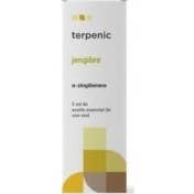 Terpenic Jengibre Bio 5 Ml