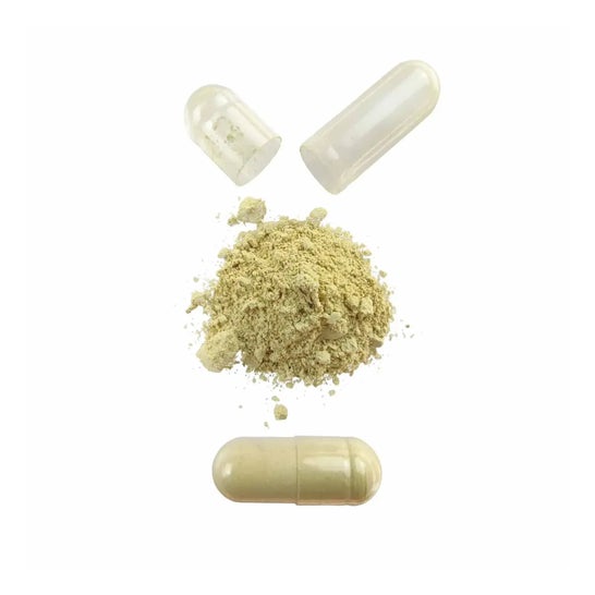 HSN Rutina 500 mg 120 vcaps
