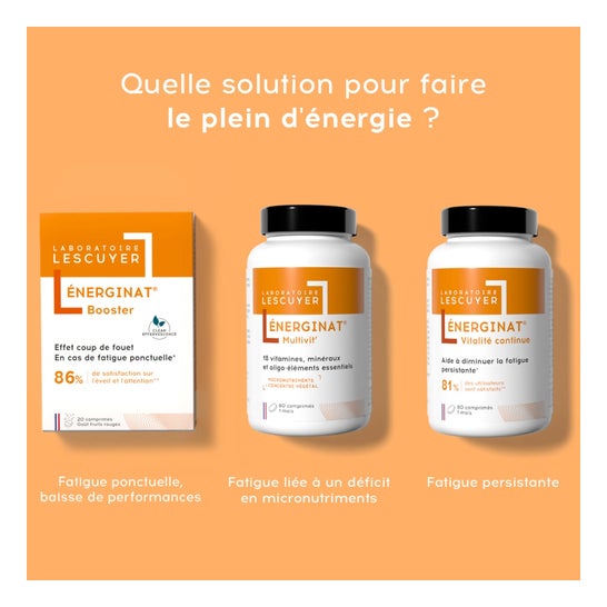 Lescuyer Énerginat Booster 20comp Lescuyer Énerginat Booster 20comp