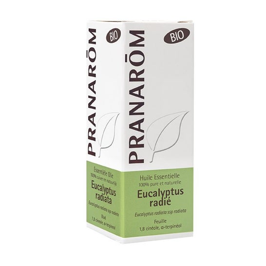 Pranarôm ätherisches Öl von Eukalyptus radiata 10ml