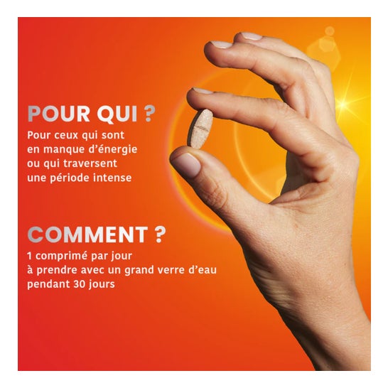 Santarome Phyto Vita'Max Multivitamines Goût Citron Vert 20comp Santarome Phyto Vita'Max Multivitamines Goût Citron Vert 20comp