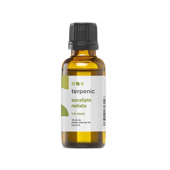 Terpenischer Eukalyptus Radiata 30ml